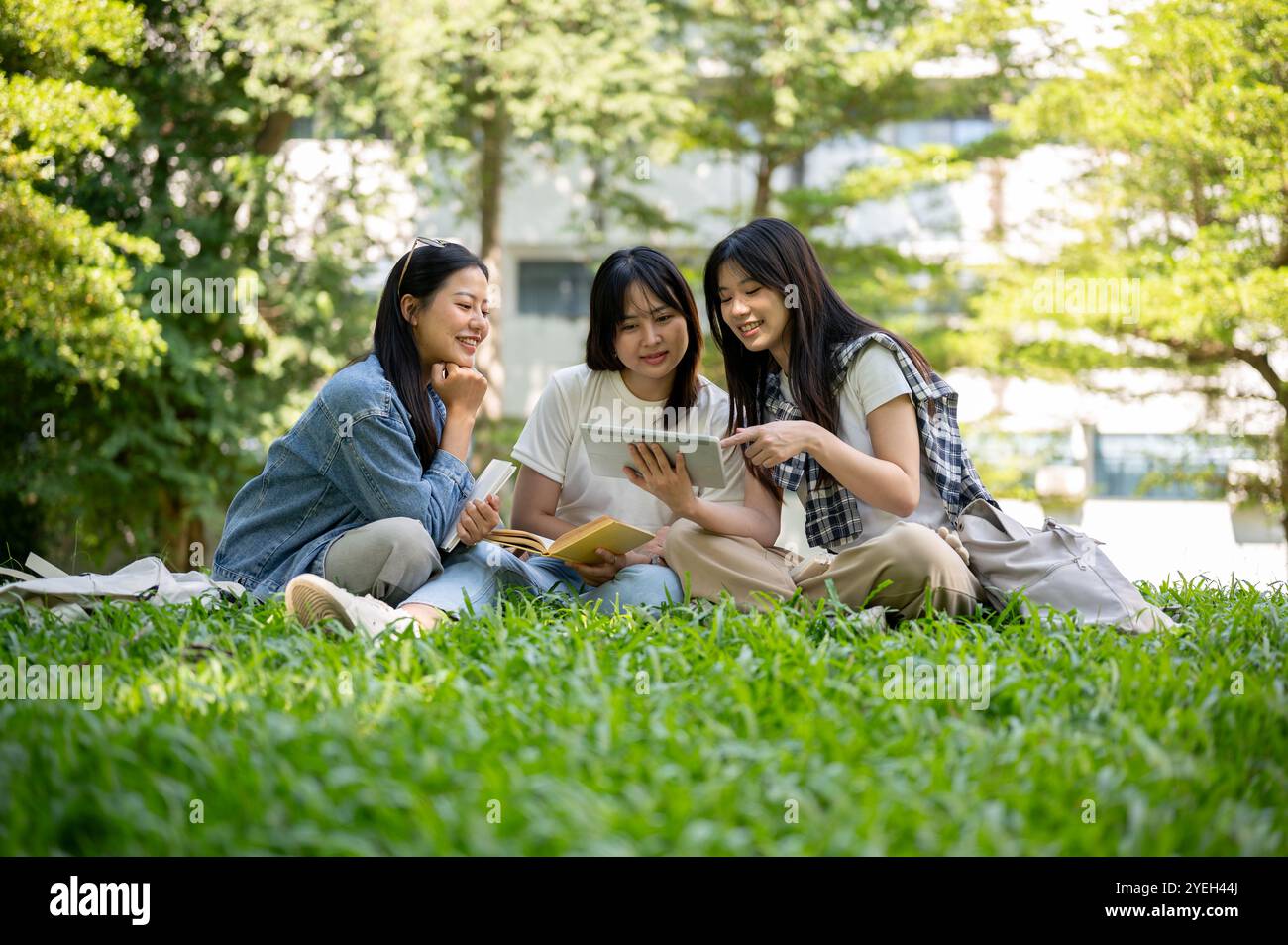 Un groupe de jolies étudiantes asiatiques s'assoit sur l'herbe dans le parc du campus de leur université, discutant d'une vidéo qu'elles regardent ensemble sur un Banque D'Images