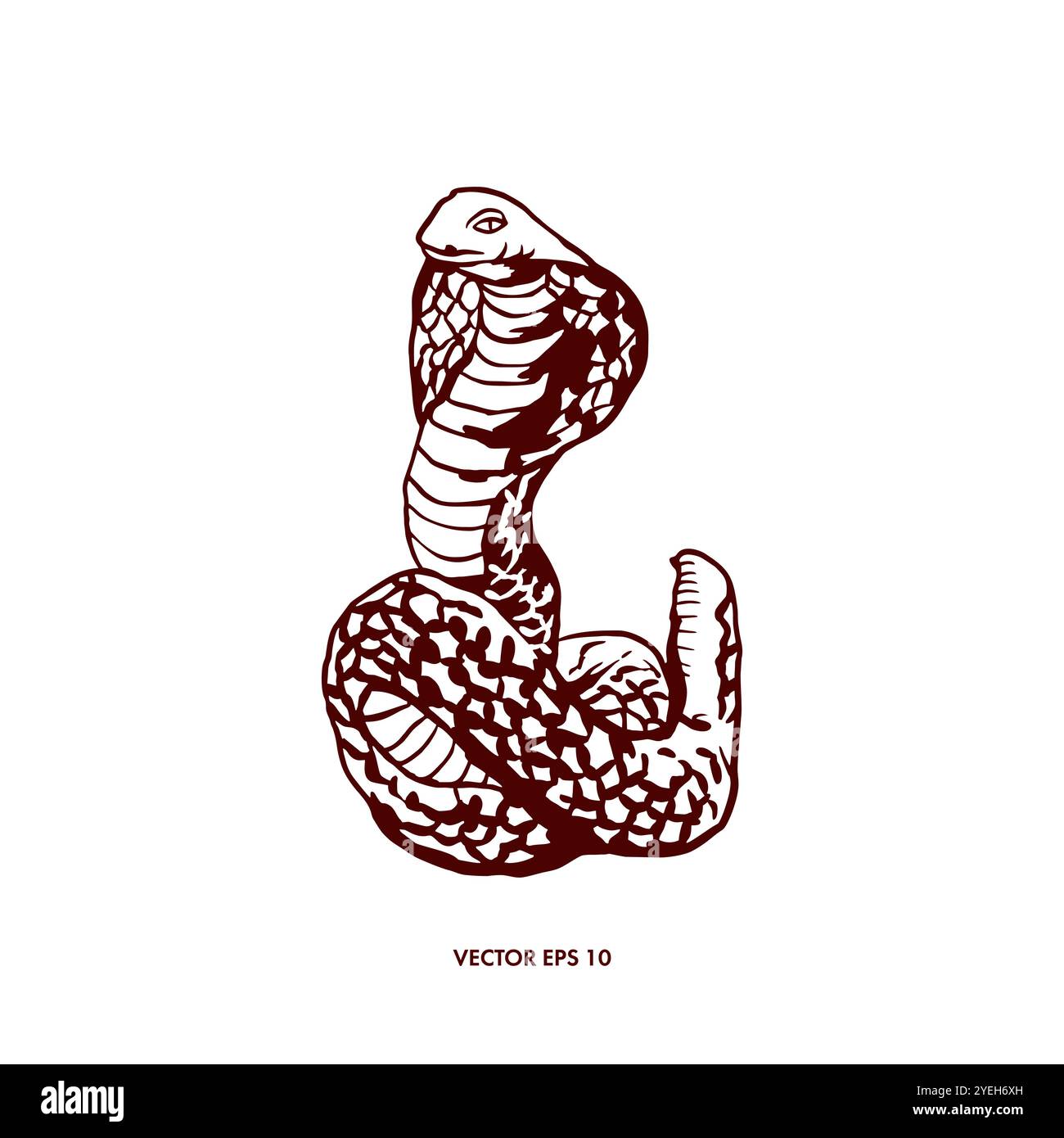 Serpent, cobra. Symbole de la nouvelle année. Illustration vectorielle dessinée à la main dans un style graphique. Pour la conception de cartes postales, bannières, tatouages, affiches, invitations Illustration de Vecteur