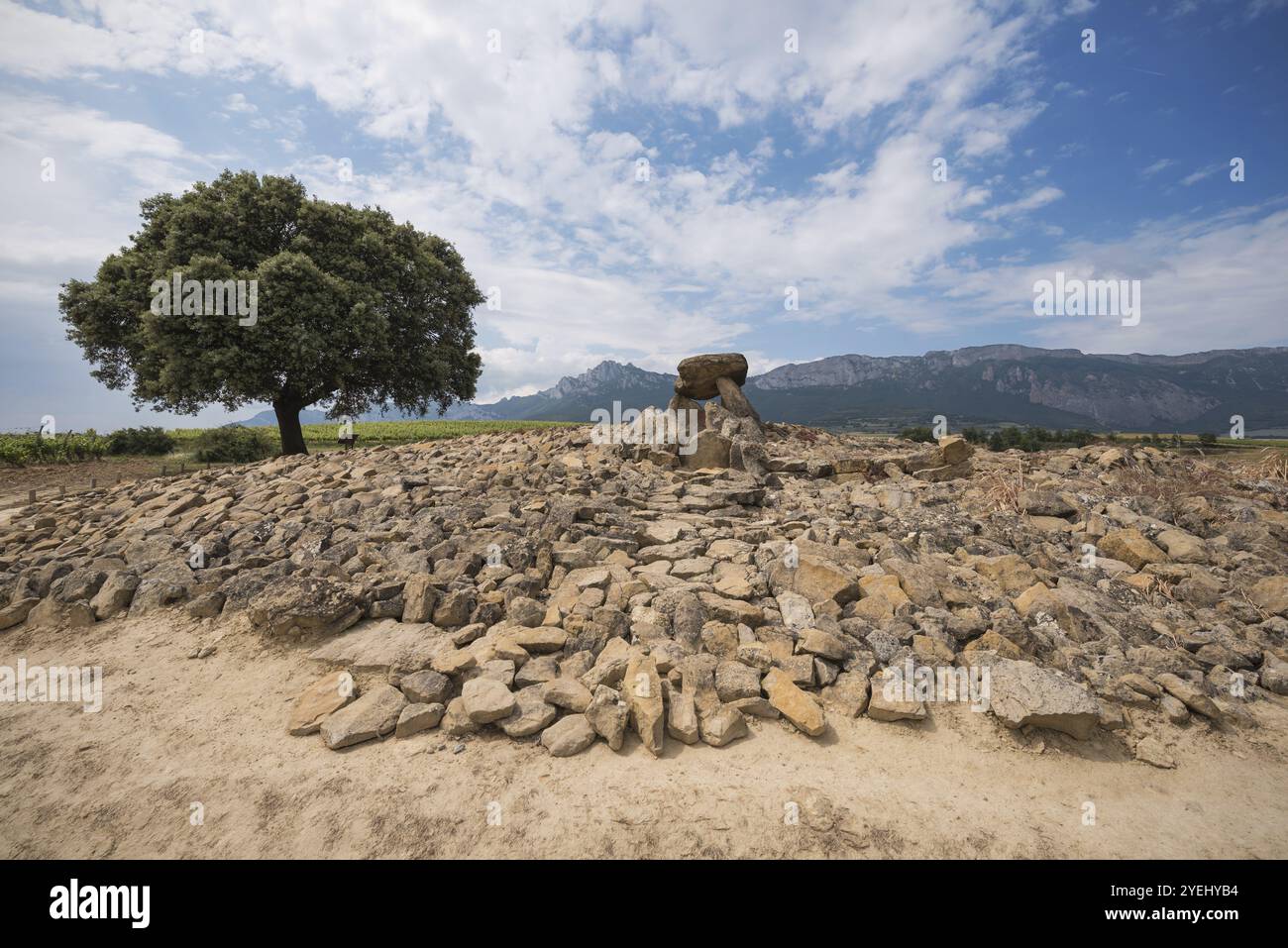 Dolmen mégalithique Chabola de la Hechicera, à la Guardia, pays Basque, Espagne, Europe Banque D'Images