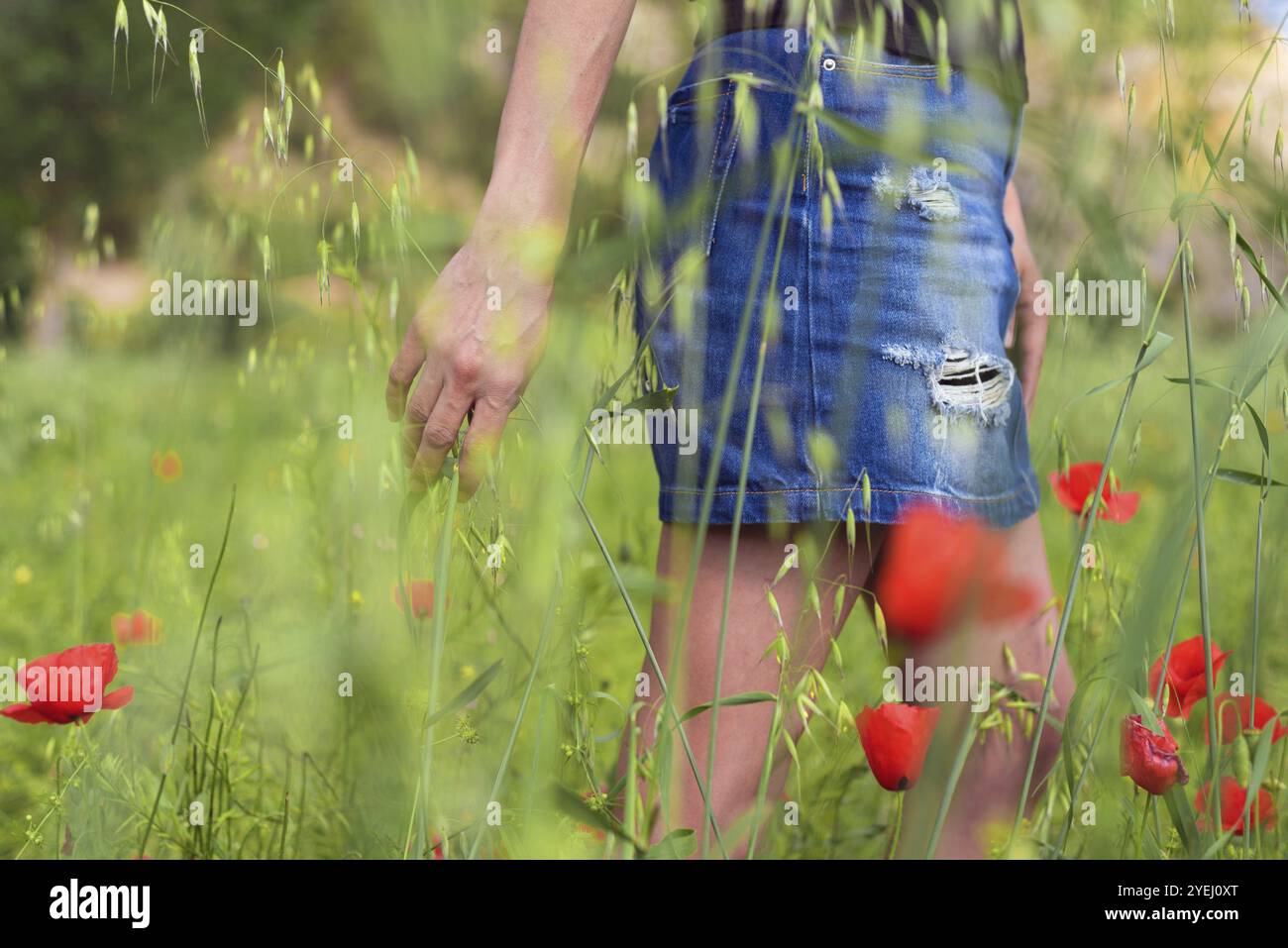 Femme profitant d'une promenade dans un champ de coquelicots sous le soleil d'été Banque D'Images