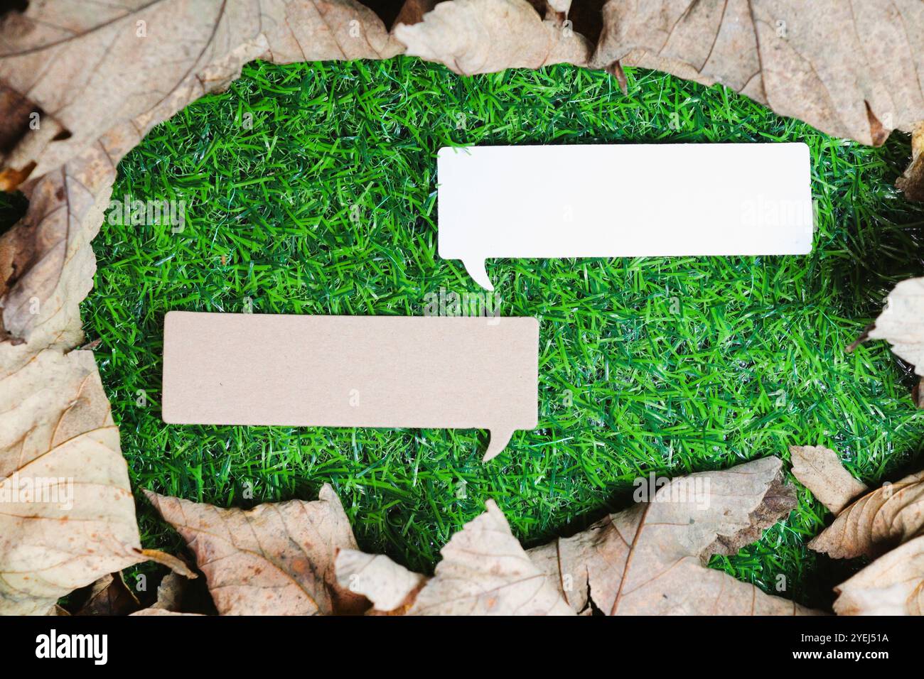 Deux bulles de parole, l'une blanche et l'autre brune, sur un fond vert pâle entouré de feuilles sèches. Banque D'Images
