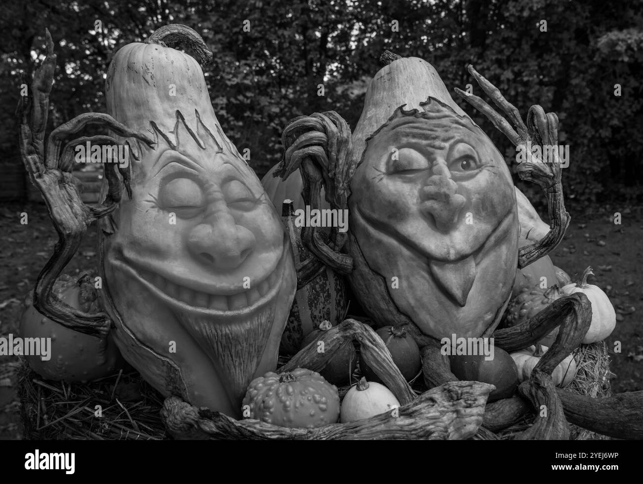 Citrouilles sculptées avec des visages drôles. Banque D'Images