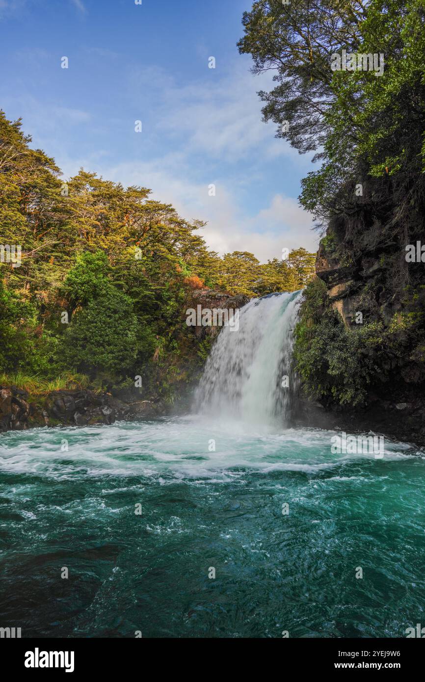 Les chutes de Tawhai dans le parc national de Tonario en Nouvelle-Zélande. Cette cascade apparaissait dans le film le Seigneur des anneaux où Gollum allait pêcher. Banque D'Images