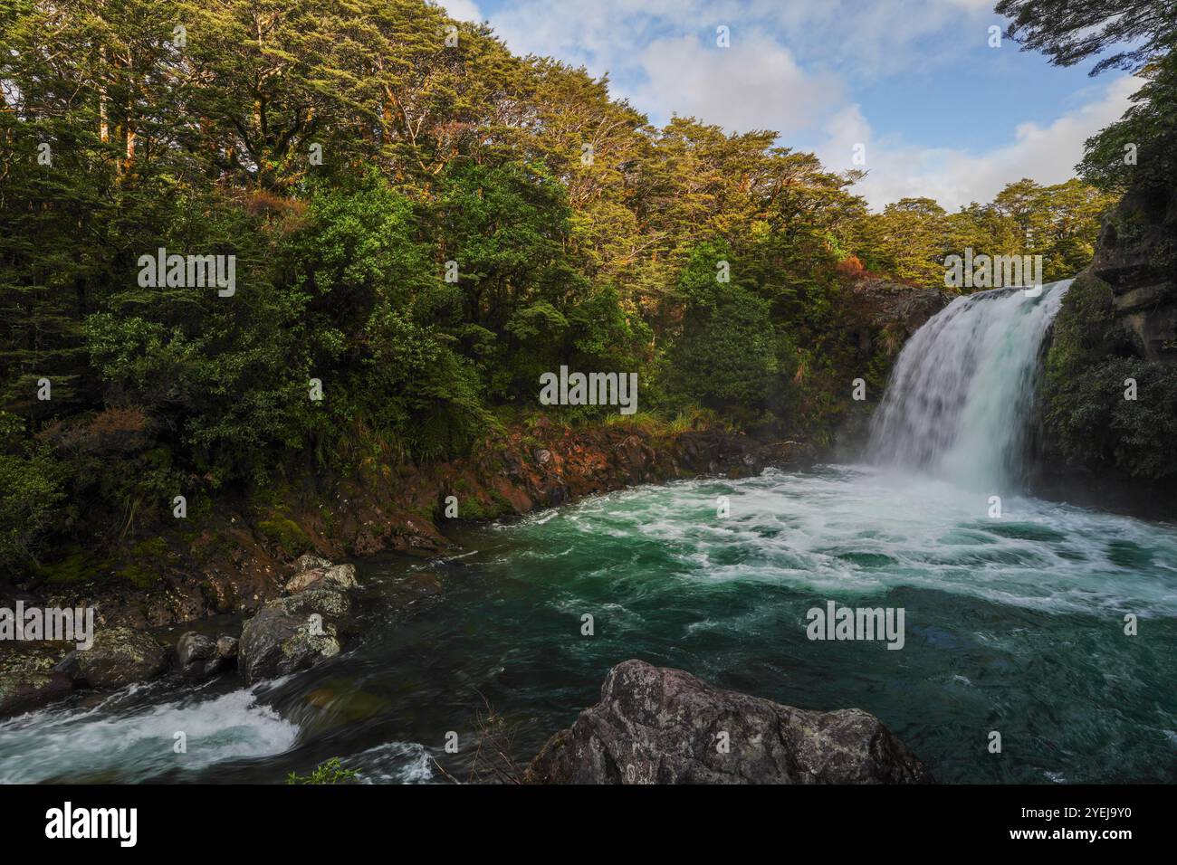 Les chutes de Tawhai dans le parc national de Tonario en Nouvelle-Zélande. Cette cascade apparaissait dans le film le Seigneur des anneaux où Gollum allait pêcher. Banque D'Images