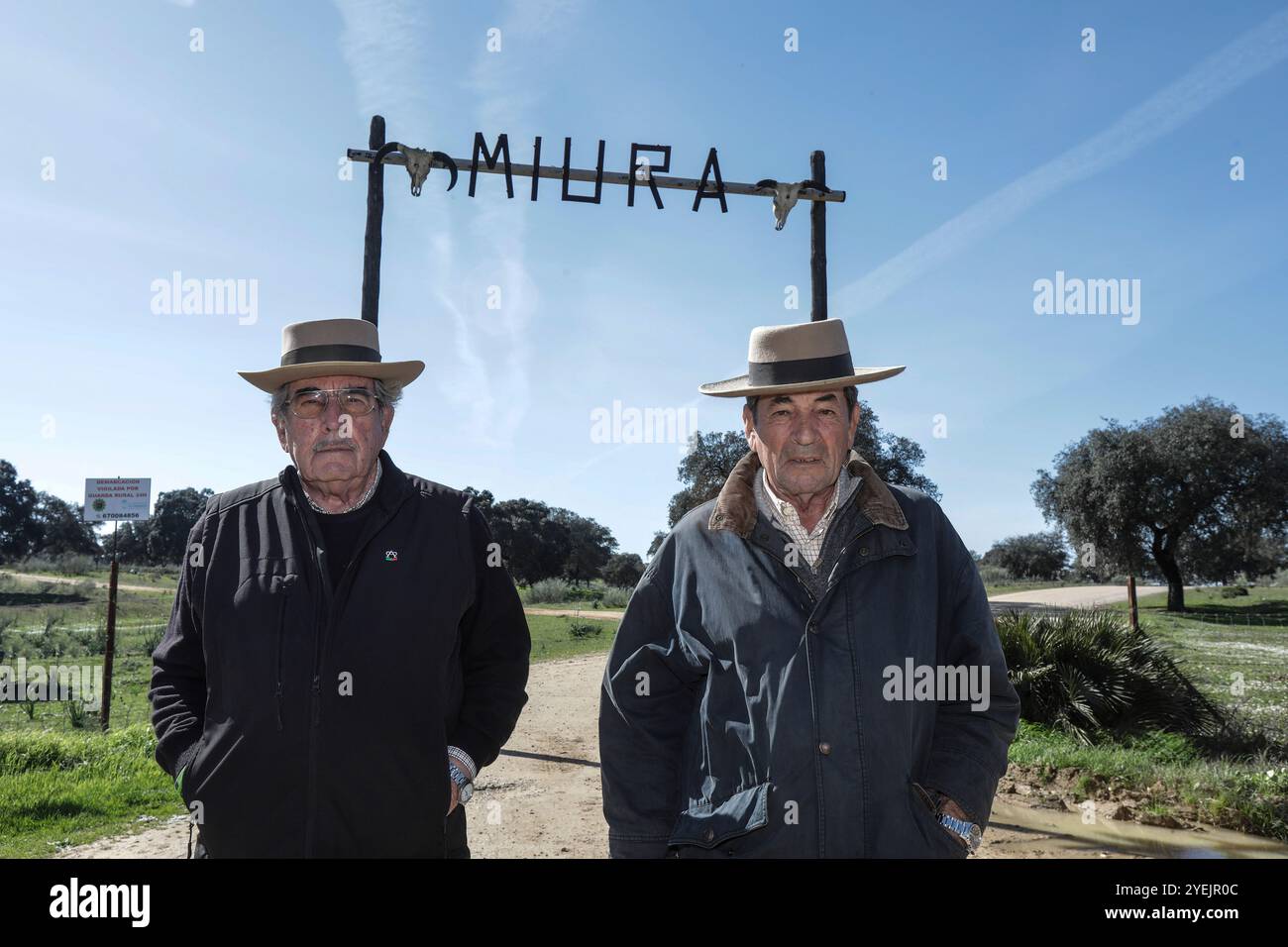 LoRa del Rio (Séville), 15/02/2021. Rendez-vous à la ferme Zahariche. Miura Bull. Photo : Raul Doblado. Archsev. Crédit : album / Archivo ABC / Raúl Doblado Banque D'Images