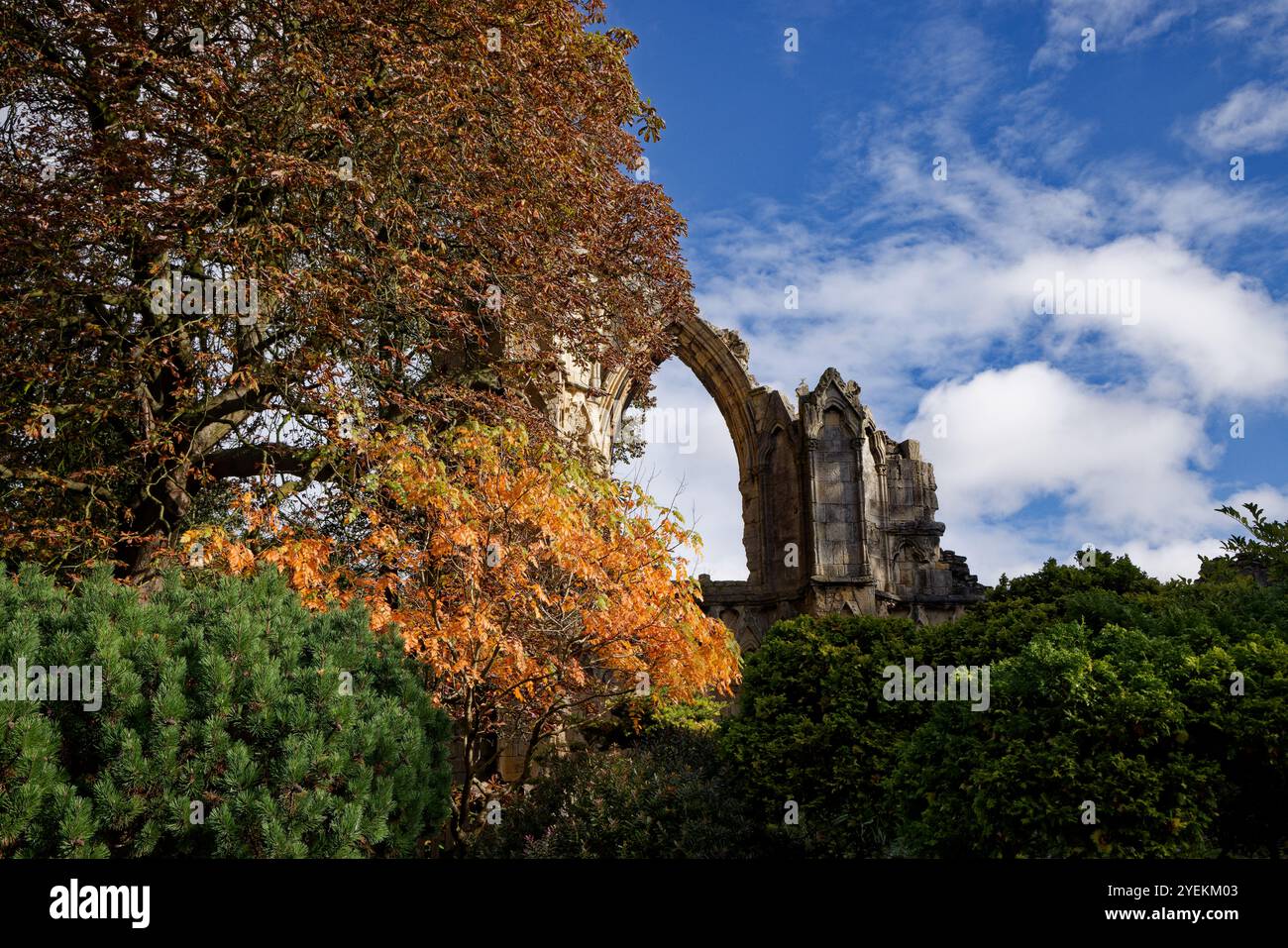 Couleur d'automne à St Mary's Abbey Ruins, York. Banque D'Images