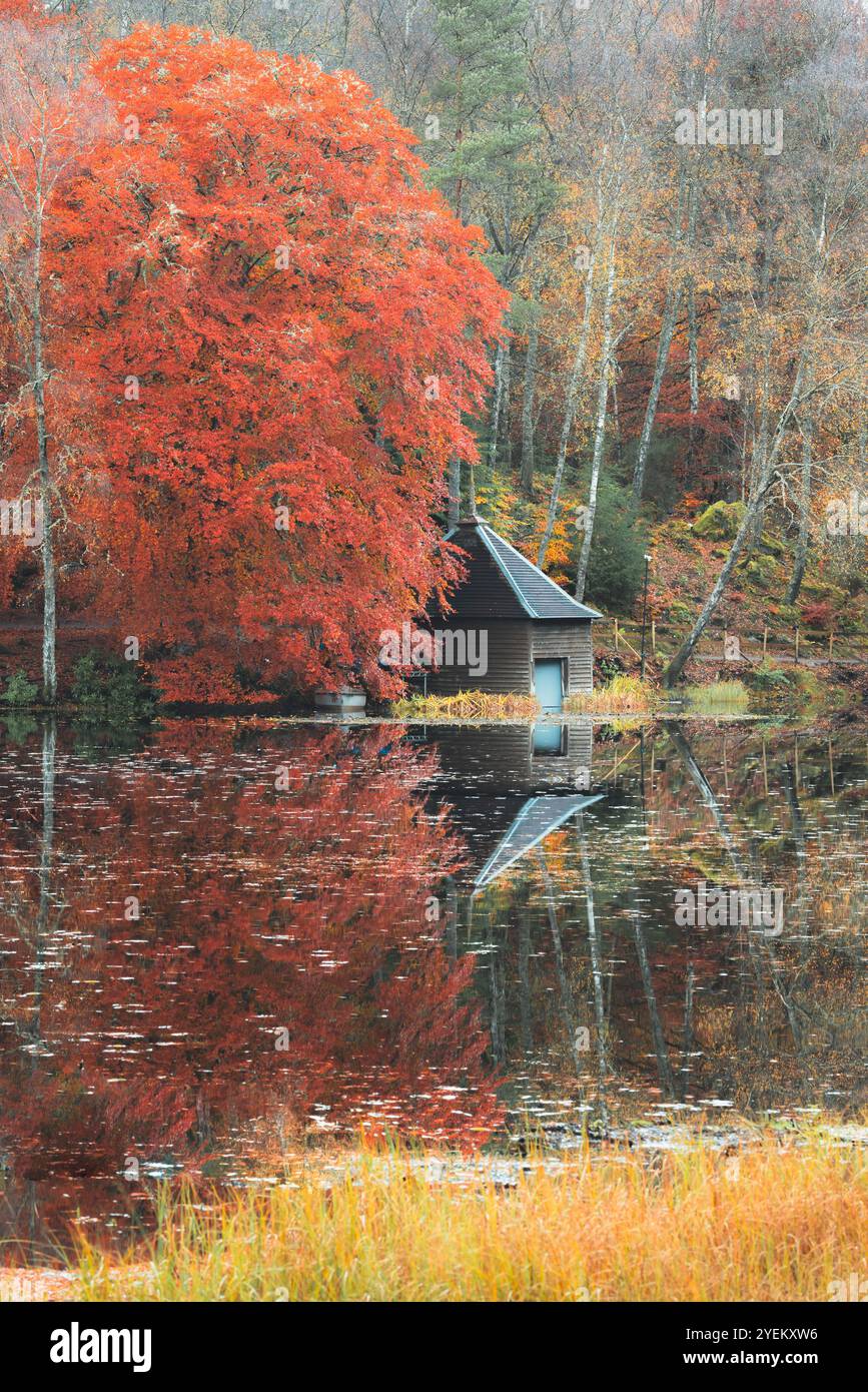 Une scène automnale sereine au Loch Dunmore dans la forêt de Faskally, en Écosse, avec un feuillage vibrant reflétant dans l'eau calme à côté d'un hangar à bateaux pittoresque. Banque D'Images