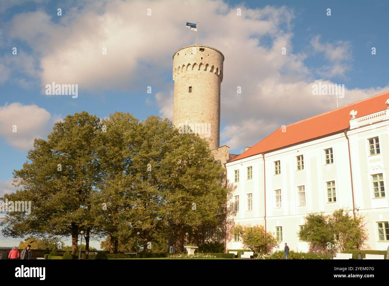 Pikk Hermann (Tall Hermann) est une tour du château de Toompea, sur la colline de Toompea à Tallinn, la capitale de l'Estonie. Banque D'Images