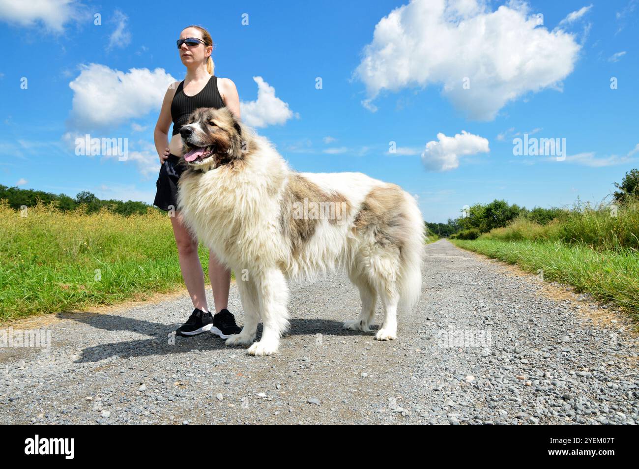 Femme blonde avec un grand chien impressionnant, de race Pyrénées Mountain Dog. C'est la catégorie des chiens de berger. Banque D'Images