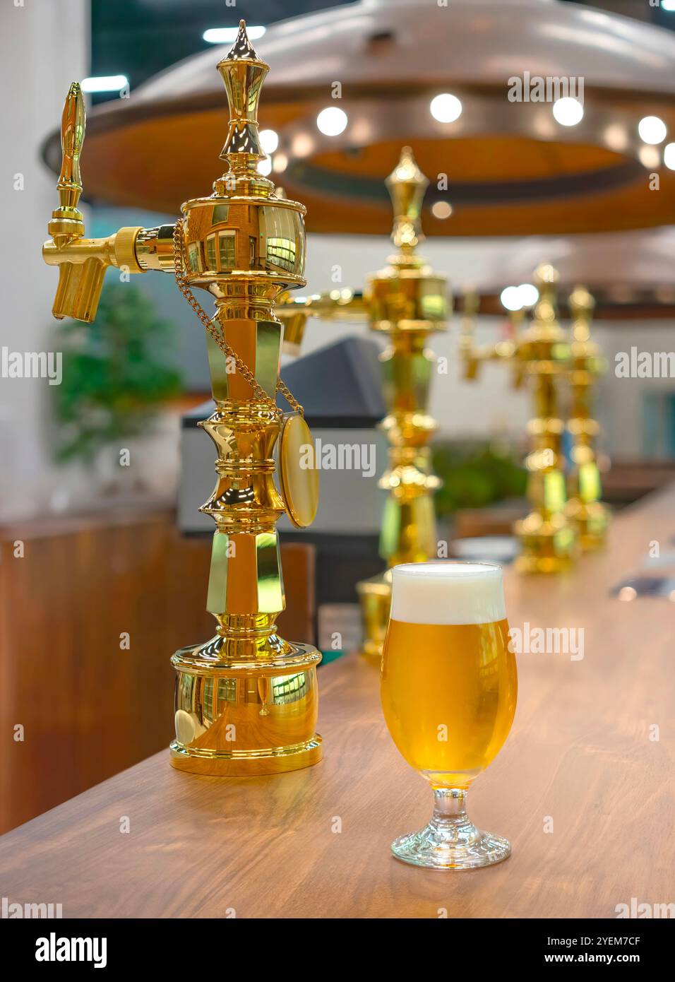 Un verre de tulipe de bière dorée à la tête mousseuse se trouve sur un comptoir de bar en bois dans une brasserie ornée de robinets de bière dorée ornés. Banque D'Images