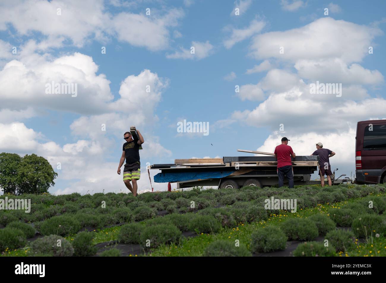 Ivano-Frankivsk, Ukraine 10 mai 2024 : des hommes retirent les planches d'une remorque de voiture et les transportent sur le terrain jusqu'au site d'installation. Livraison de constr Banque D'Images