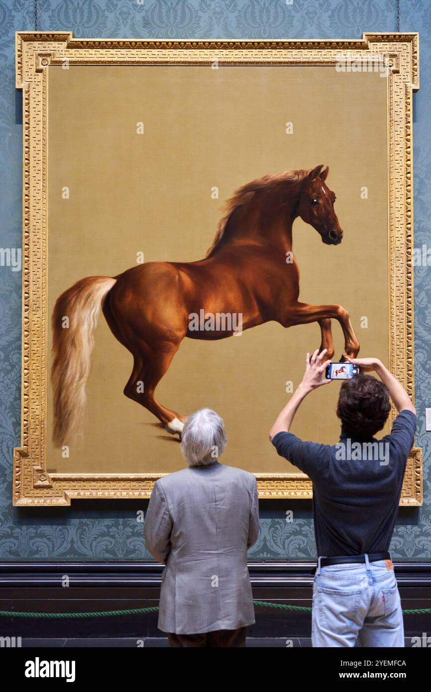 Whistlejacket, vers 1762, George Stubbs (1724-1806), The National Gallery, Londres, ROYAUME-UNI Banque D'Images