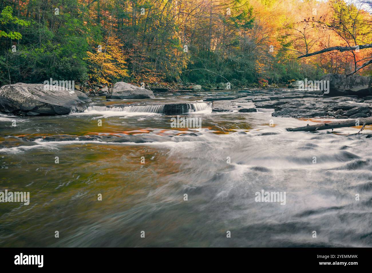 Petits rapides sur la rivière Youghiogheny. Parc national Swallow Falls. Oakland. Maryland Banque D'Images Petits rapides sur la rivière Youghiogheny. Parc national Swallow Falls. Oakland. Maryland Banque D'Images