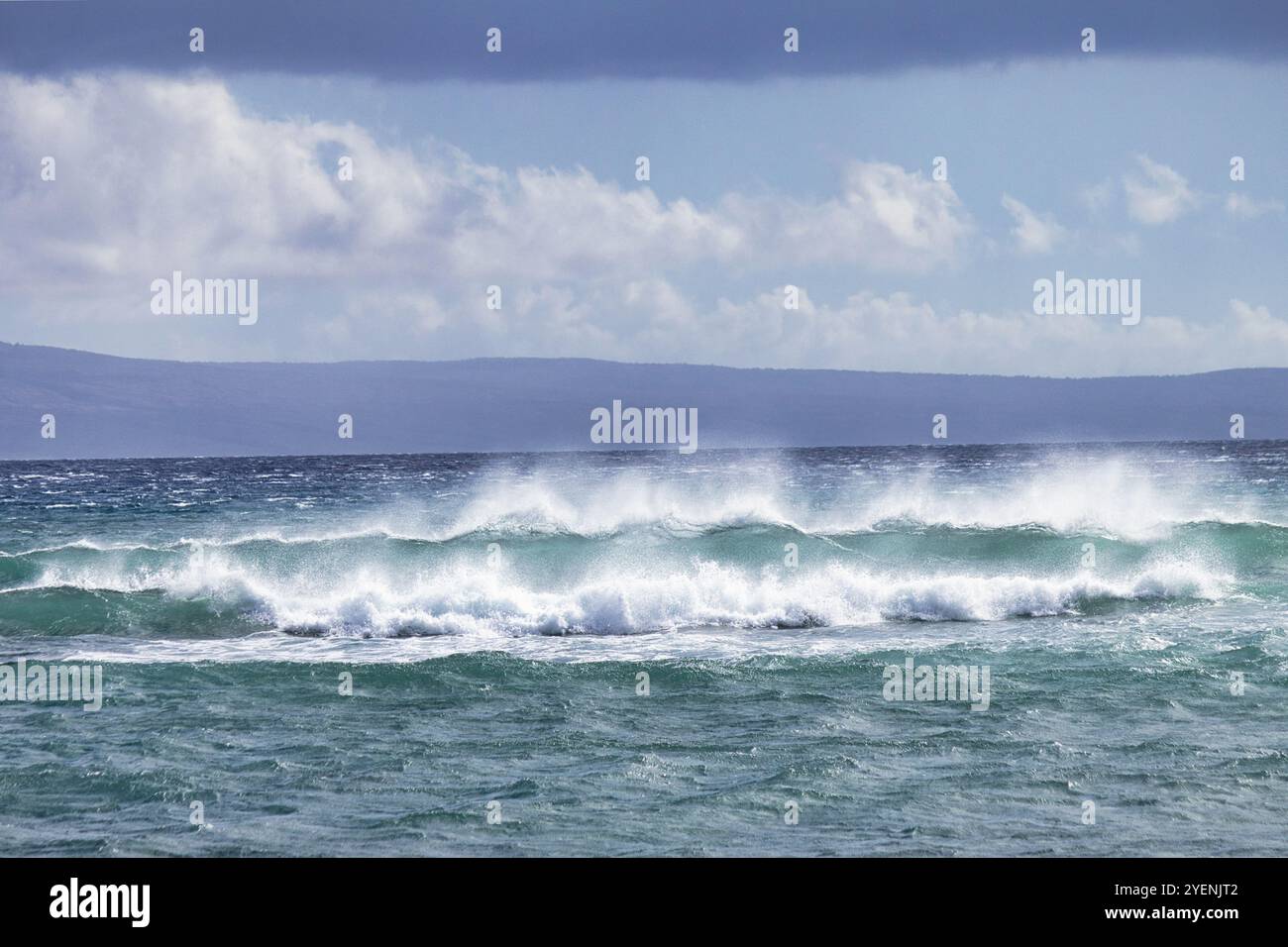 Vagues mousseuses se brisant sur maui surf. Banque D'Images