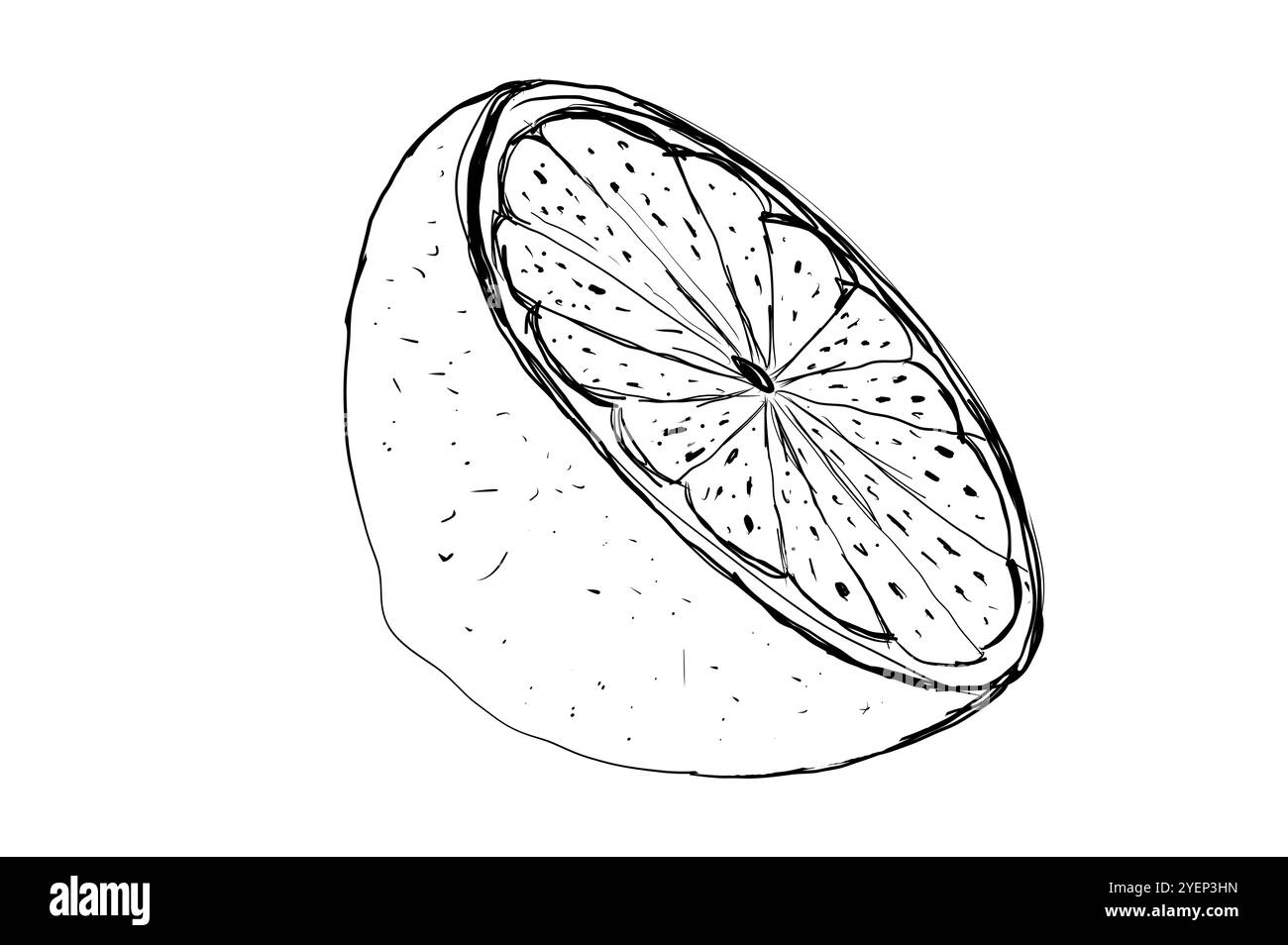 Illustration, contour d'un citron sur un fond blanc isolez. Illustration du jeu d'icônes de ligne de citron. Dessiné à la main contour d'agrumes entiers avec peeling et natur Banque D'Images