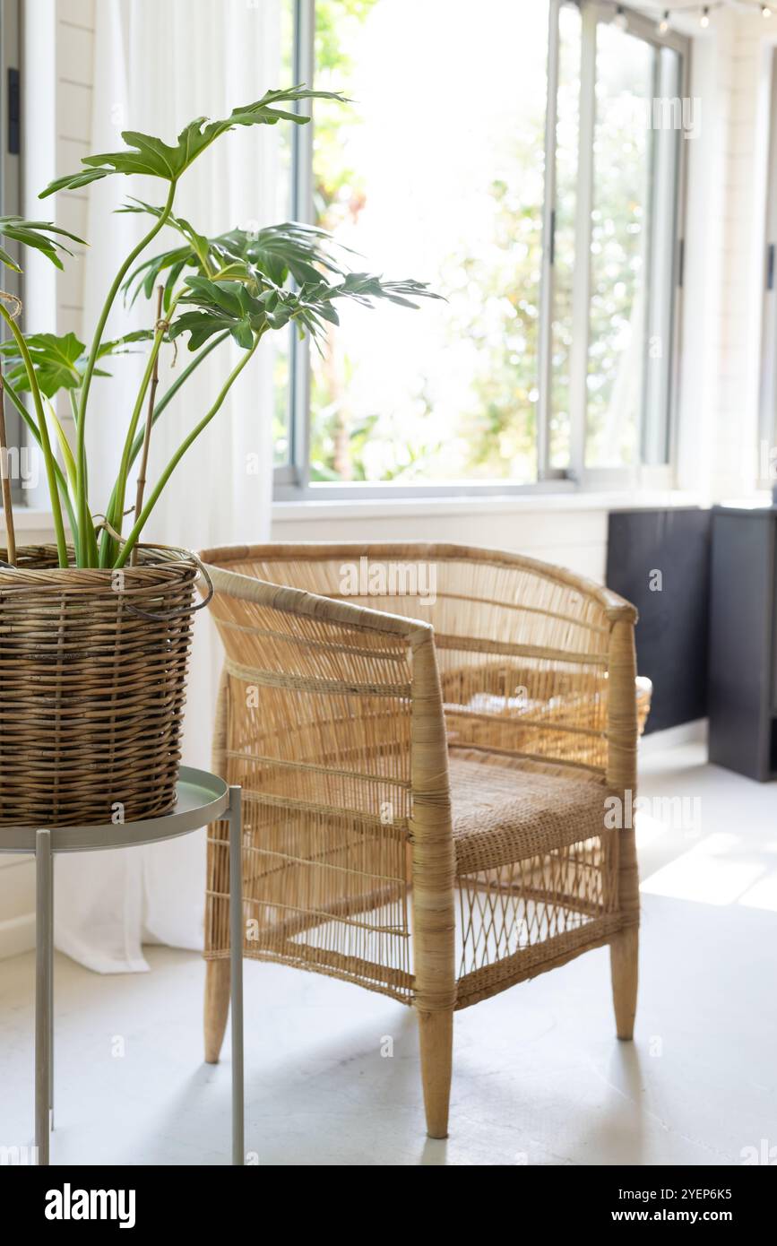 Chaise en osier confortable et plante luxuriante se prélasser à la lumière du soleil par la fenêtre, à la maison. style de vie, maison, naturel, botanique, intérieur, meuble Banque D'Images