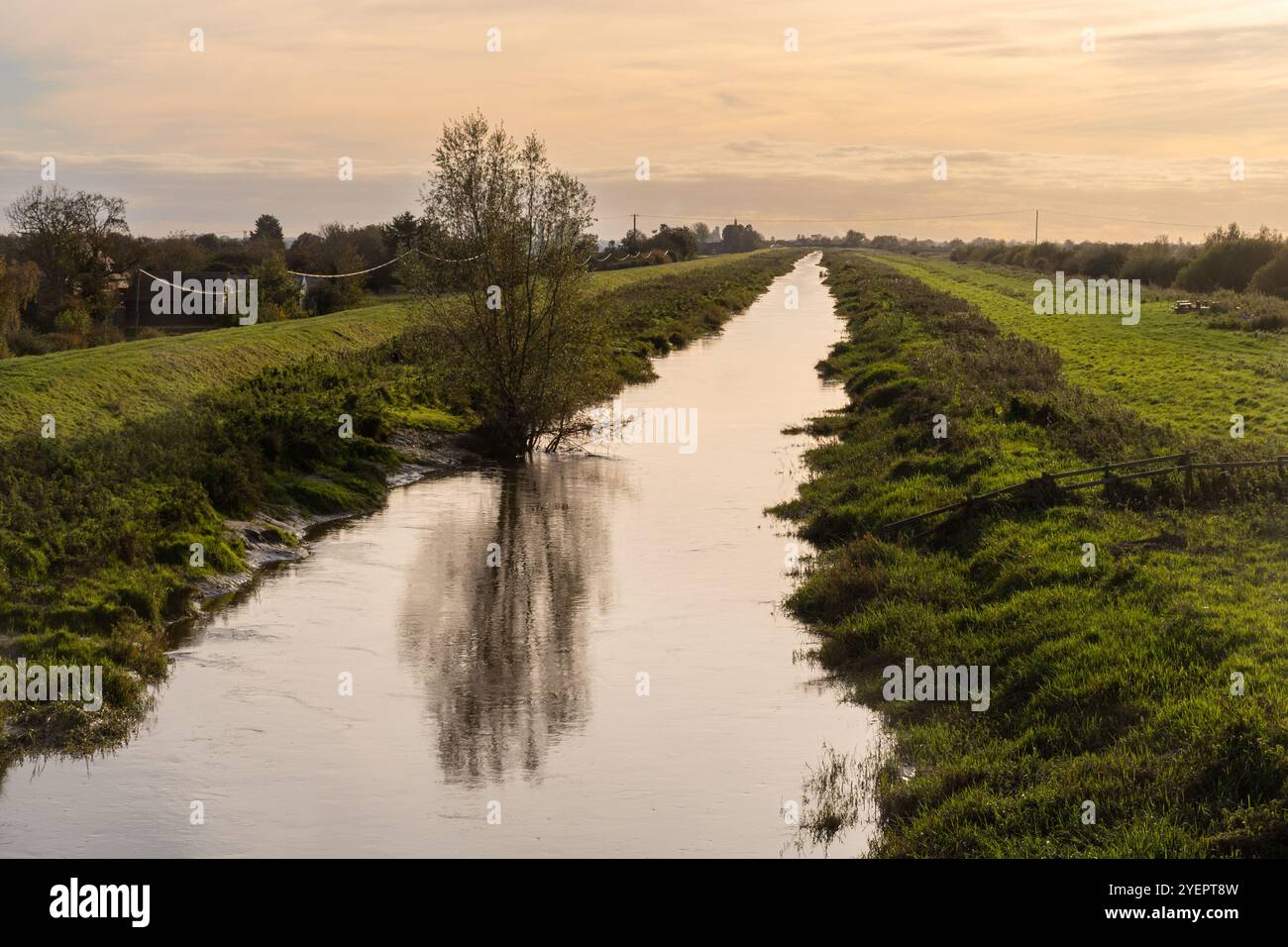 Vue du WWT Welney Wetland Centre, une réserve naturelle importante pour les oiseaux et d'autres espèces sauvages dans West Norfolk, Angleterre, Royaume-Uni Banque D'Images