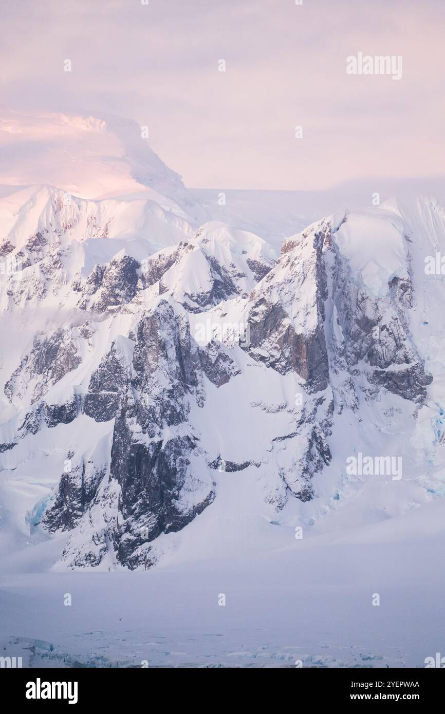 Rose belle aube en Antarctique. Banque D'Images