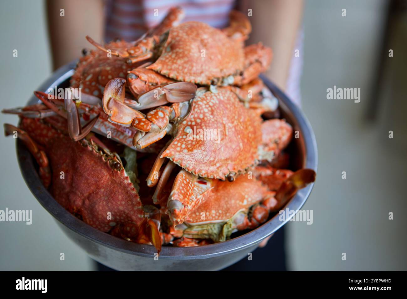 Vue rapprochée du crabe bleu cuit à la vapeur dans un bol Banque D'Images