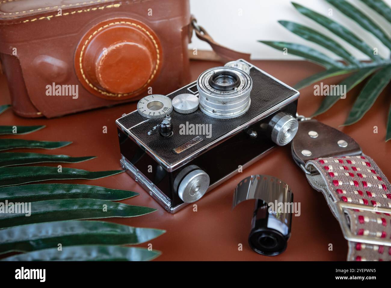 Appareil photo rétro avec étui en cuir encadré par des feuilles tropicales Banque D'Images