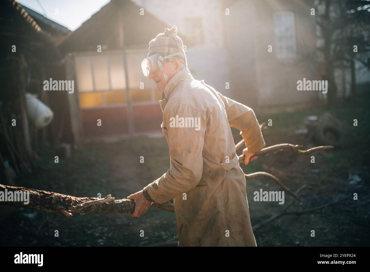 Gros plan d'un vieil homme dans son jardin portant une branche d'arbre. Banque D'Images