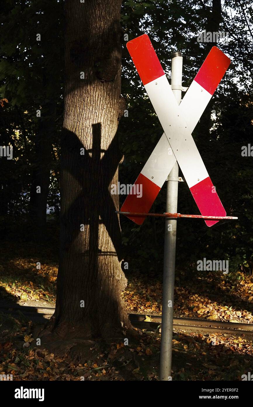 Croix de Saint-André, Allemagne, Europe Banque D'Images