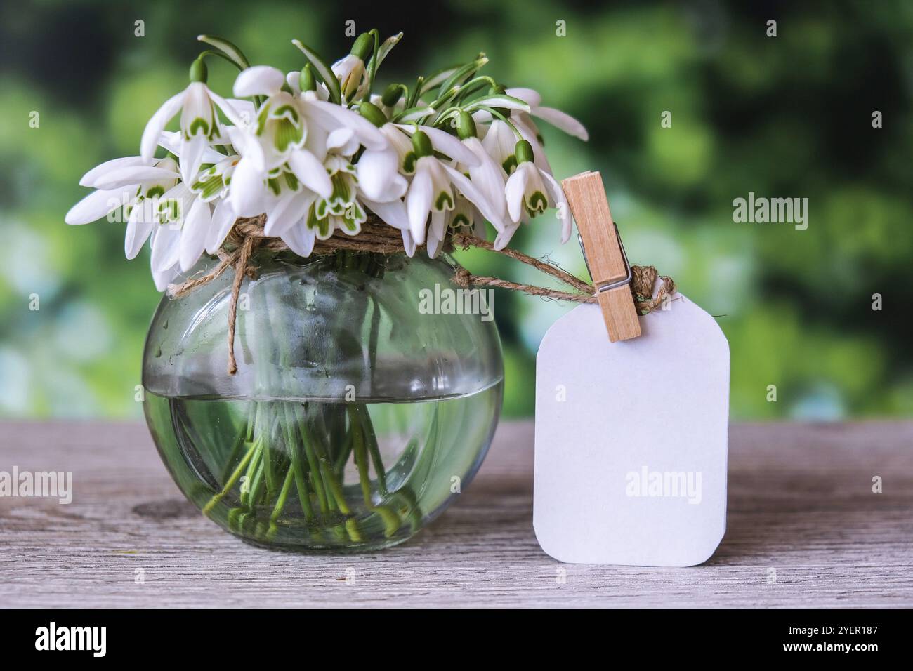 Bouquet de gouttes de neige dans un vase en verre avec eau. Copier l'espace pour le texte. Faites une maquette avec une étiquette. Fleurs du printemps. Carte de vœux des fêtes Banque D'Images