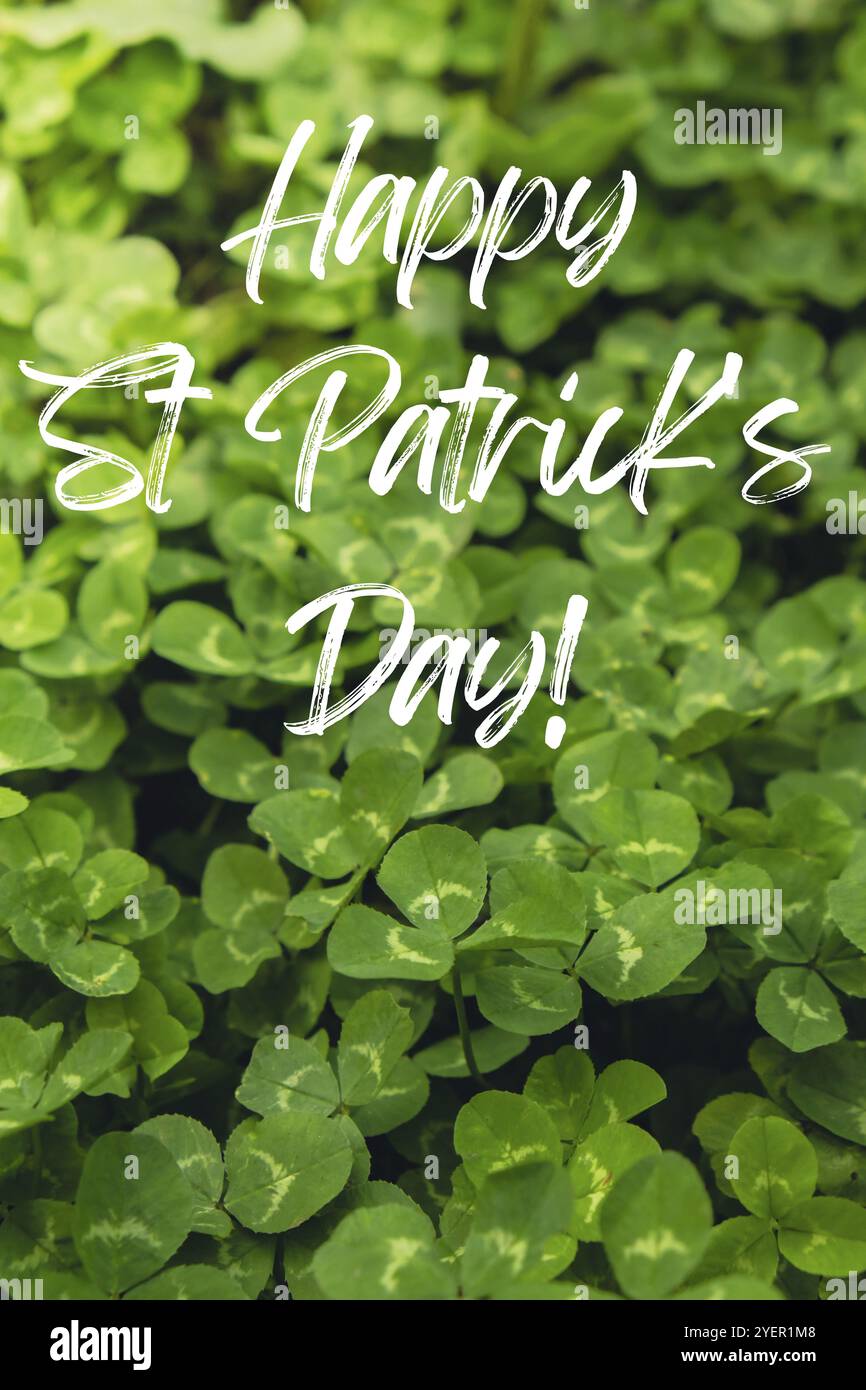 Texte de la carte de voeux HAPPY ST PATRICKS DAY sur fond naturel verdâtre de clive. Petit fond vert de trèfle feuilles de motif Shamrock fond d'écran. Vaca Banque D'Images