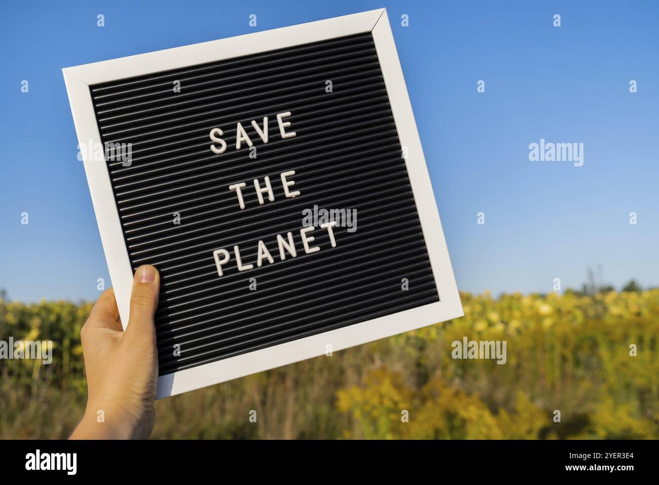 Personne méconnaissable avec message de bannière SAUVER LA PLANÈTE dans le champ de tournesol le jour ensoleillé. Signe jour de LA TERRE. Concept d'écologie et d'éco-activisme environ Banque D'Images