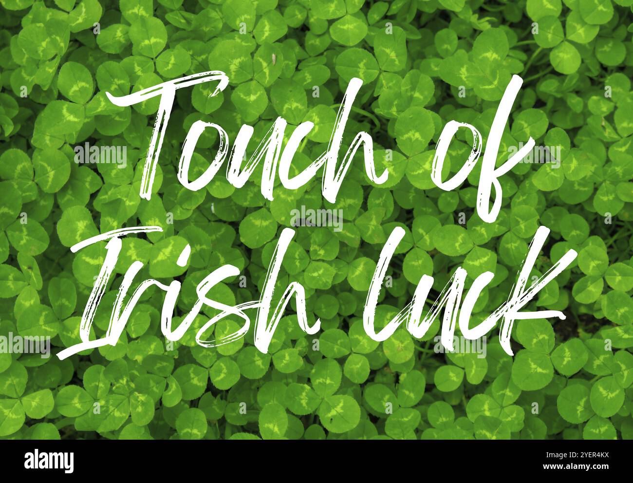 Carte de voeux TOUCHE DE texte de CHANCE IRLANDAISE HAPPY ST PATRICKS DAY sur fond naturel de clive verdâtre. Petit cache-fond vert Clover Leaves motif Banque D'Images