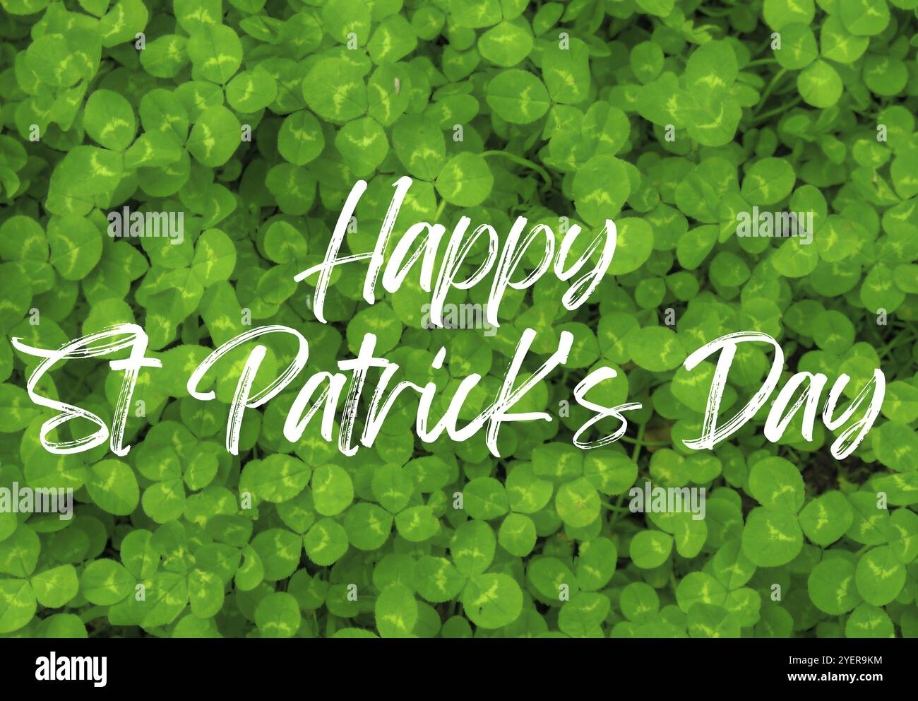 Texte de la carte de voeux HAPPY ST PATRICKS DAY sur fond naturel verdâtre de clive. Petit fond vert de trèfle feuilles de motif Shamrock fond d'écran. Vaca Banque D'Images
