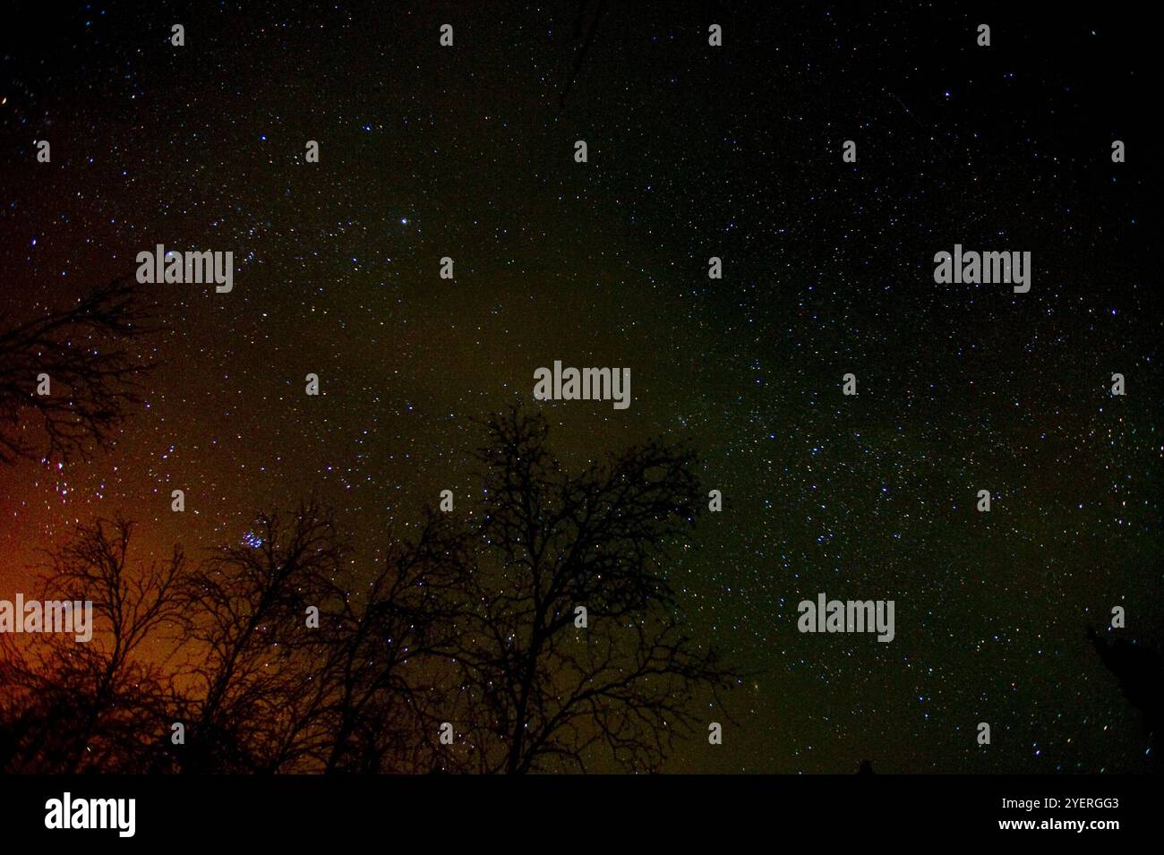 Canada/Yellowknife ciel étoilé Banque D'Images