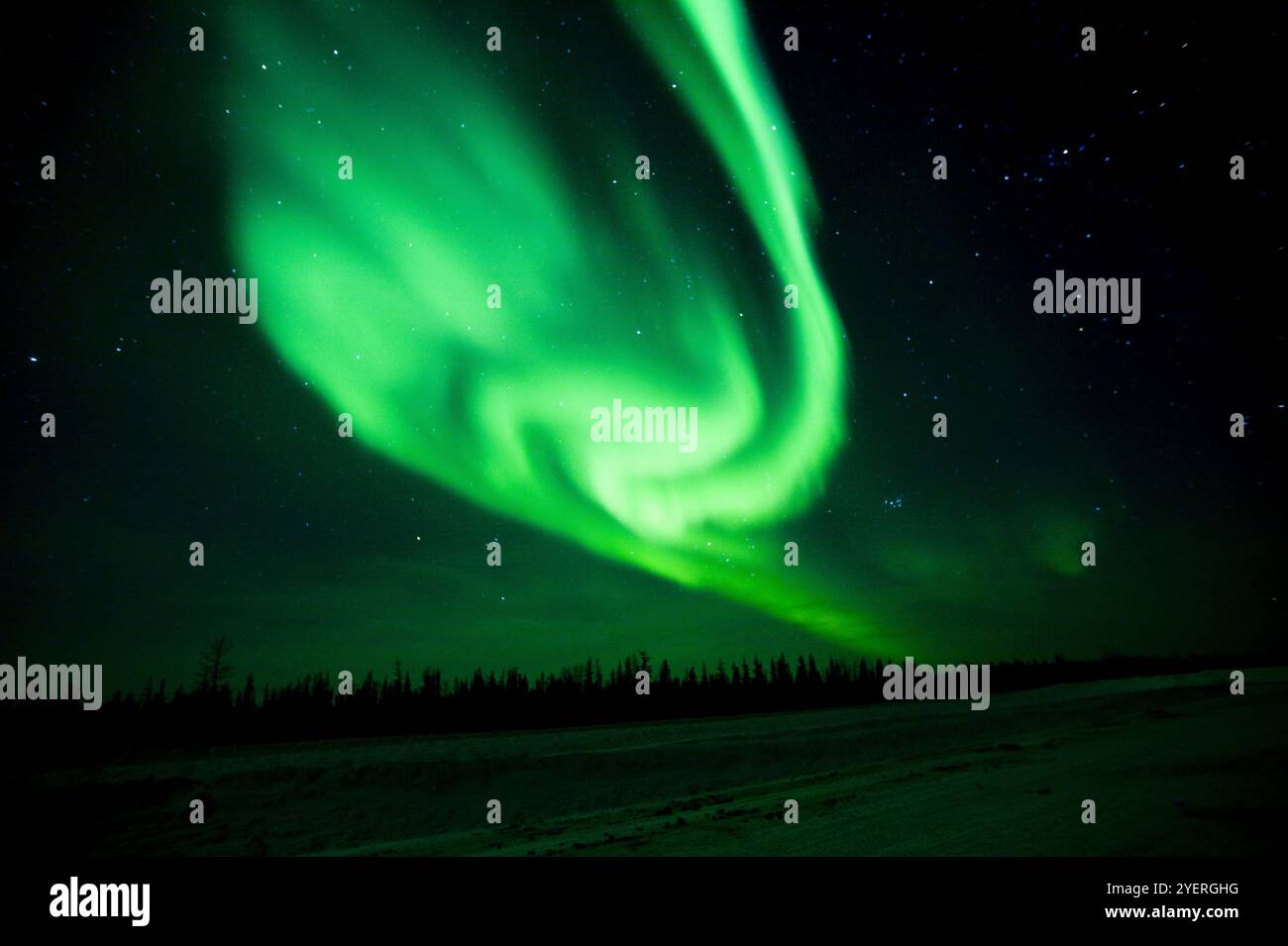 Aurores boréales à Yellowknife, Canada Banque D'Images