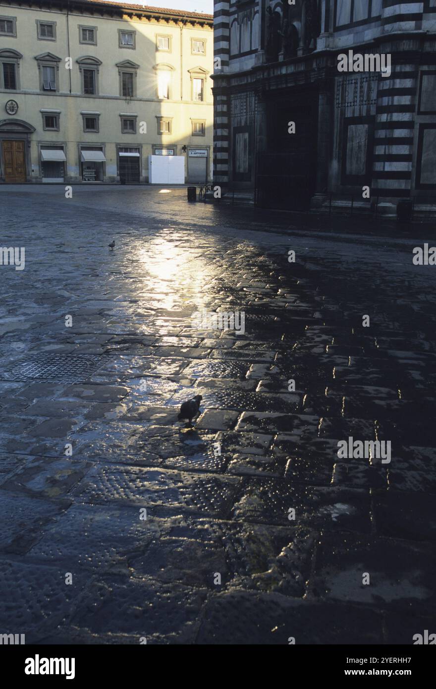 Pavés après la pluie Banque D'Images