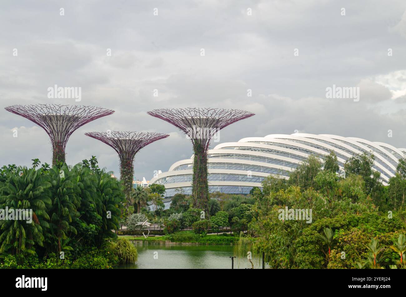 Supertree Grove arbres dans les jardins de la baie Banque D'Images