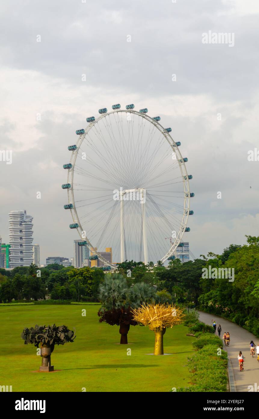 Une vue de Singapore Flyer à Singapour Banque D'Images