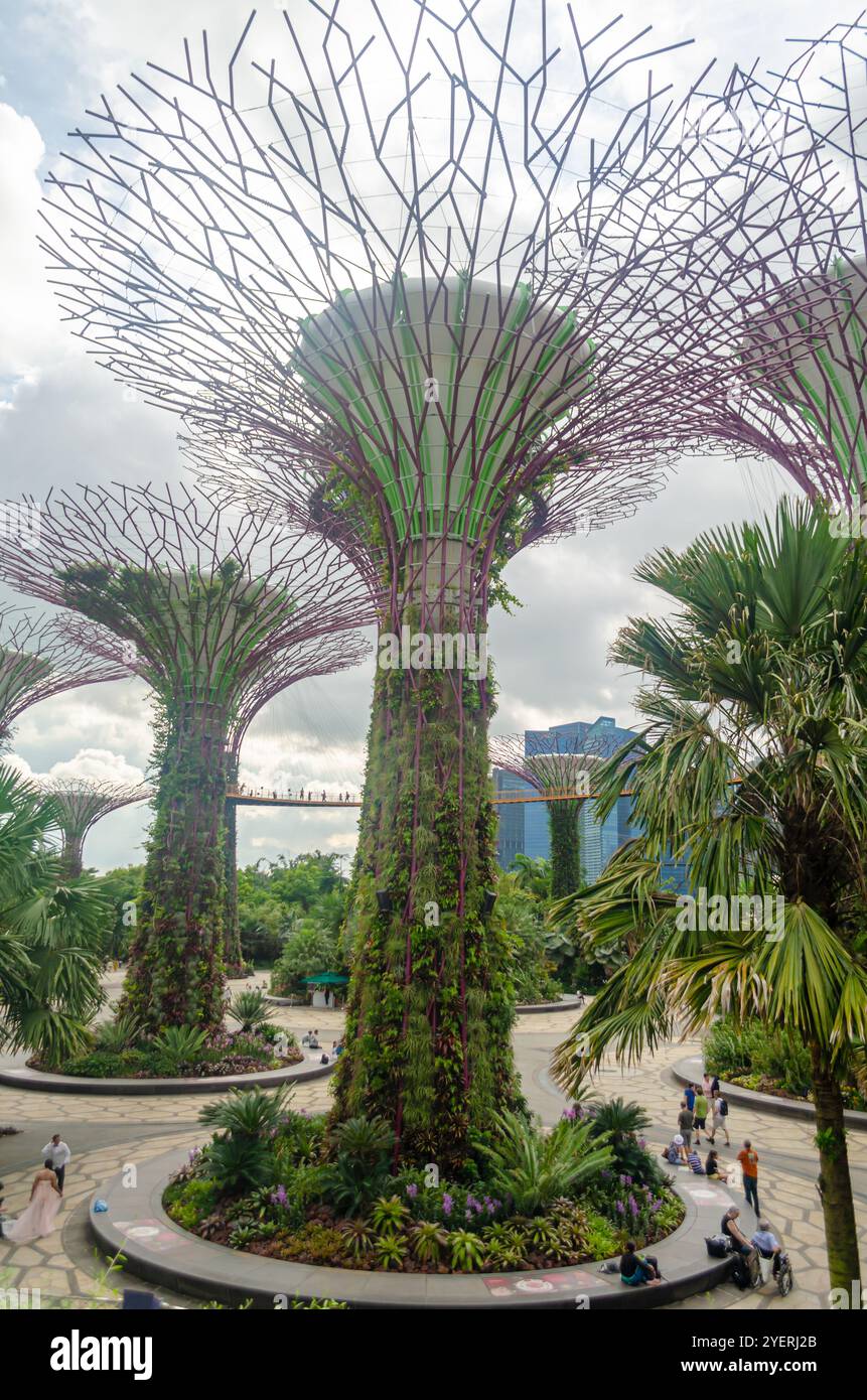 Supertree Grove arbres dans les jardins de la baie Banque D'Images