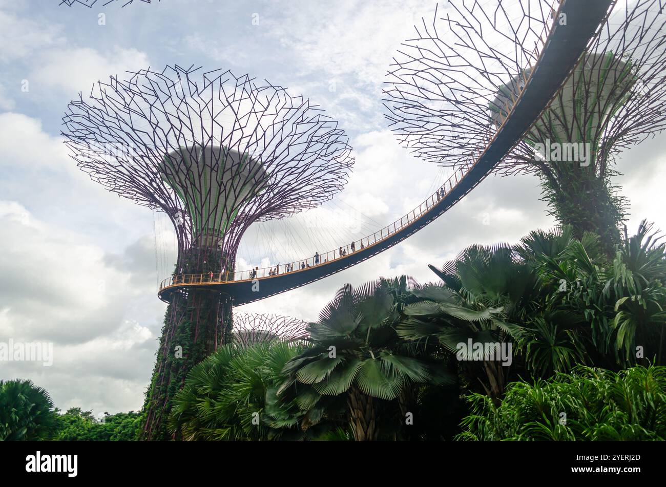 Supertree Grove arbres dans les jardins de la baie Banque D'Images