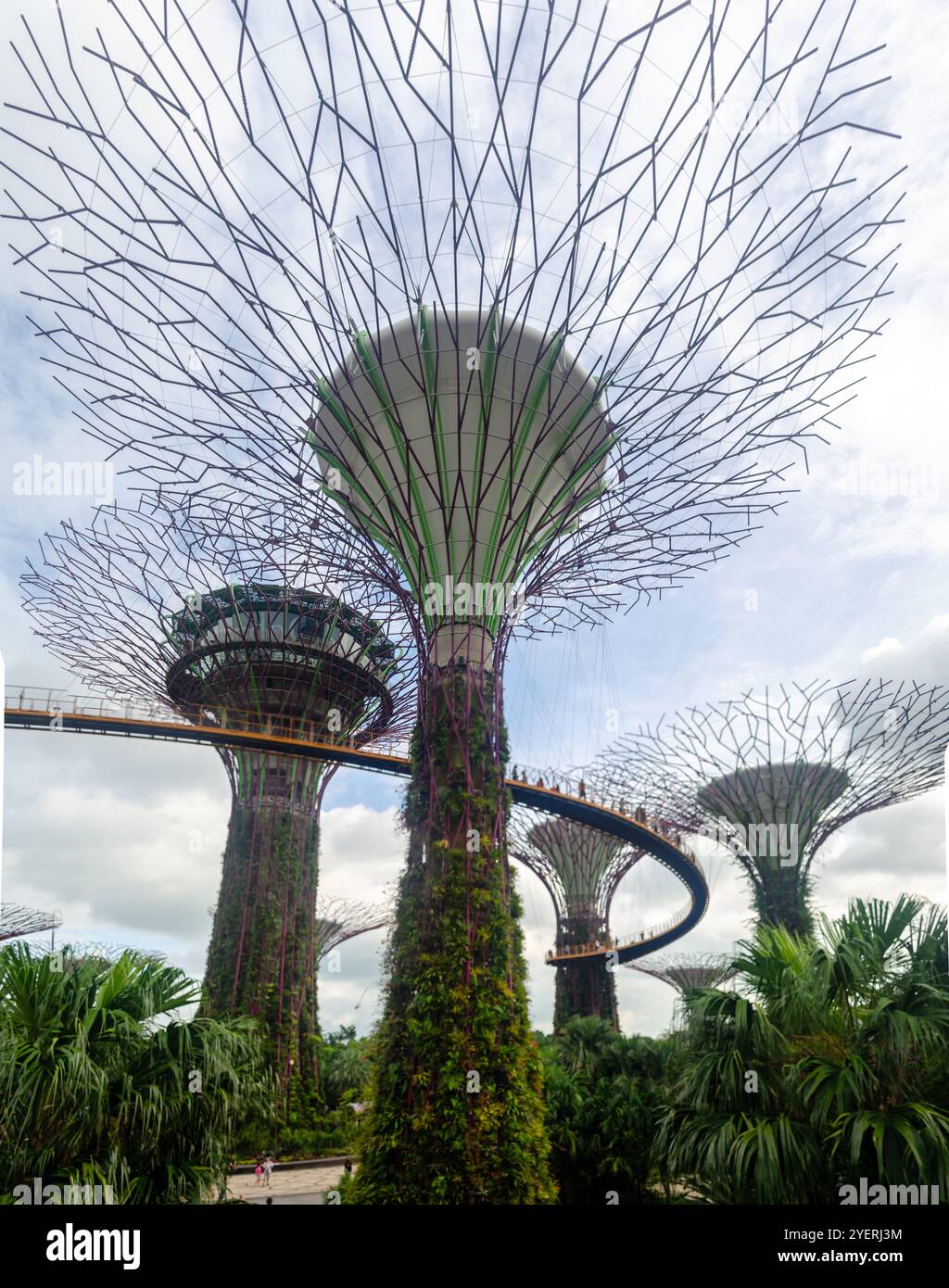 Supertree Grove arbres dans les jardins de la baie Banque D'Images