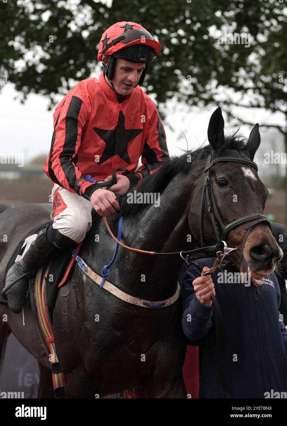 Stephen Connor après avoir remporté le Lough construction Ltd Handicap haies avec Paddy's Milestone le premier jour du Ladbroke Festival of Racing à l'hippodrome Down Royal, Lisburn. Date de la photo : vendredi 1er novembre 2024. Banque D'Images