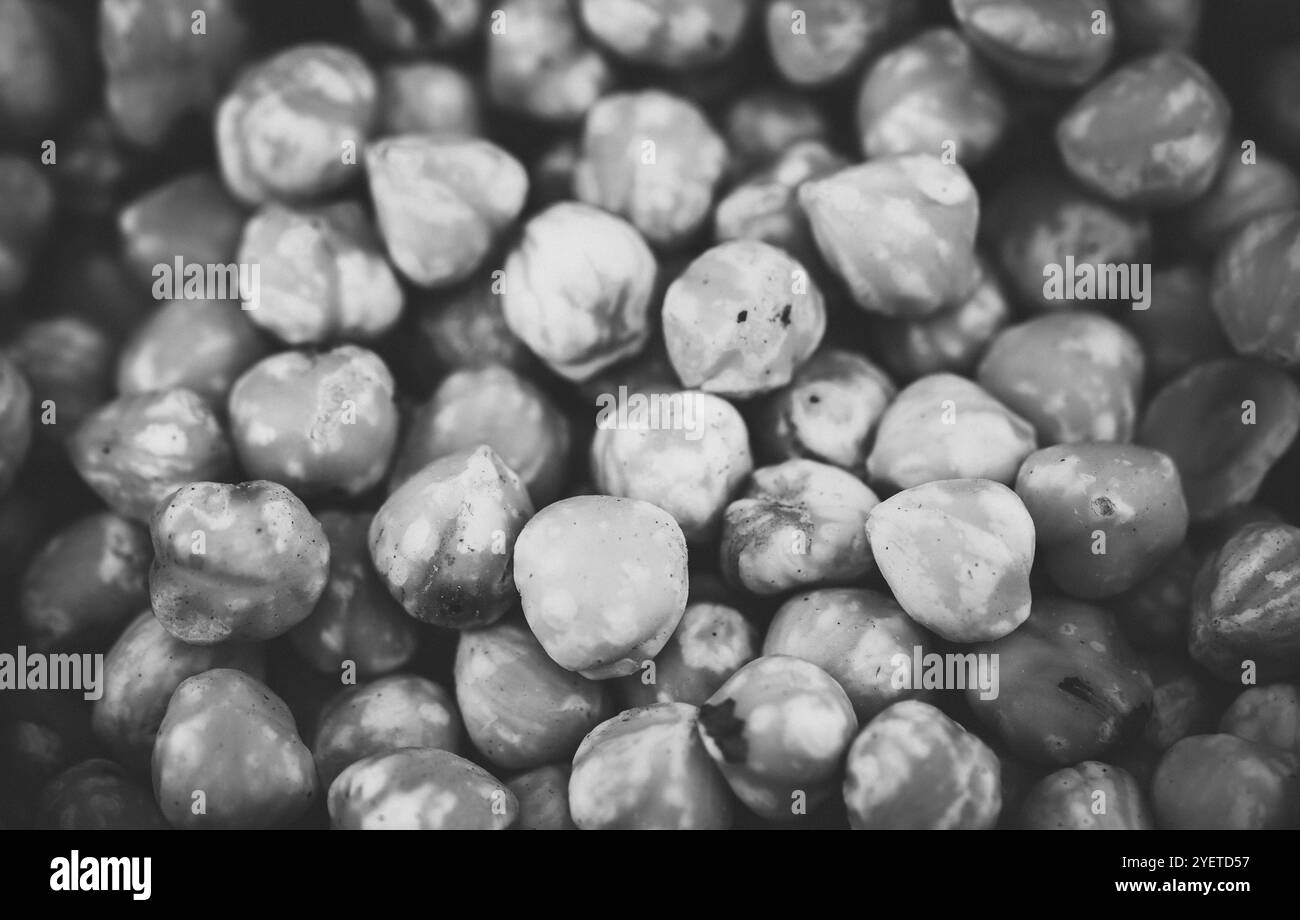 nourriture colorée comme arrière-plan abstrait ou papier peint Banque D'Images