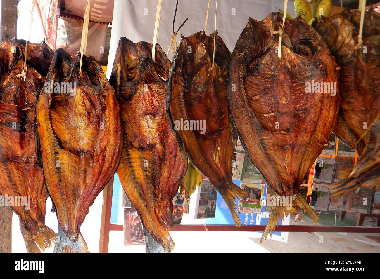 Poisson sec. Marché local. Van Vieng. Laos Banque D'Images