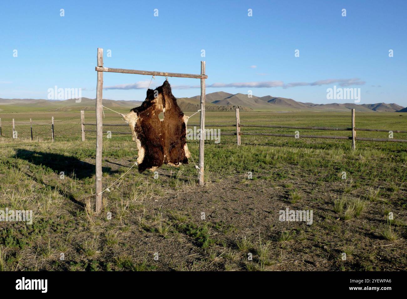 Peau animale. Gun Galuut. Mongolie Banque D'Images