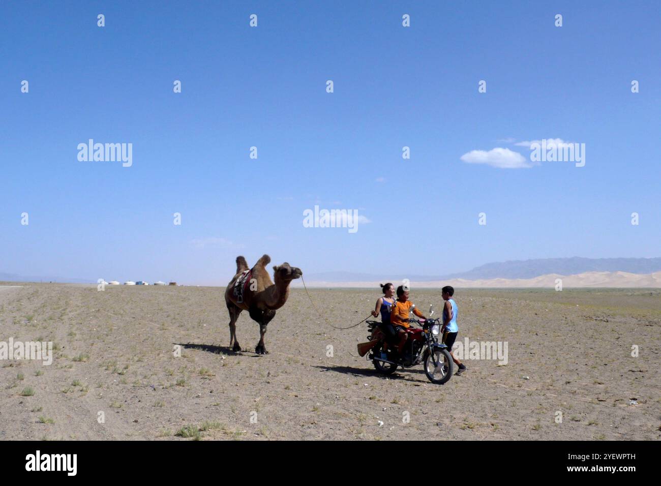 Vie quotidienne. Désert de Gobi. Mongolie Banque D'Images