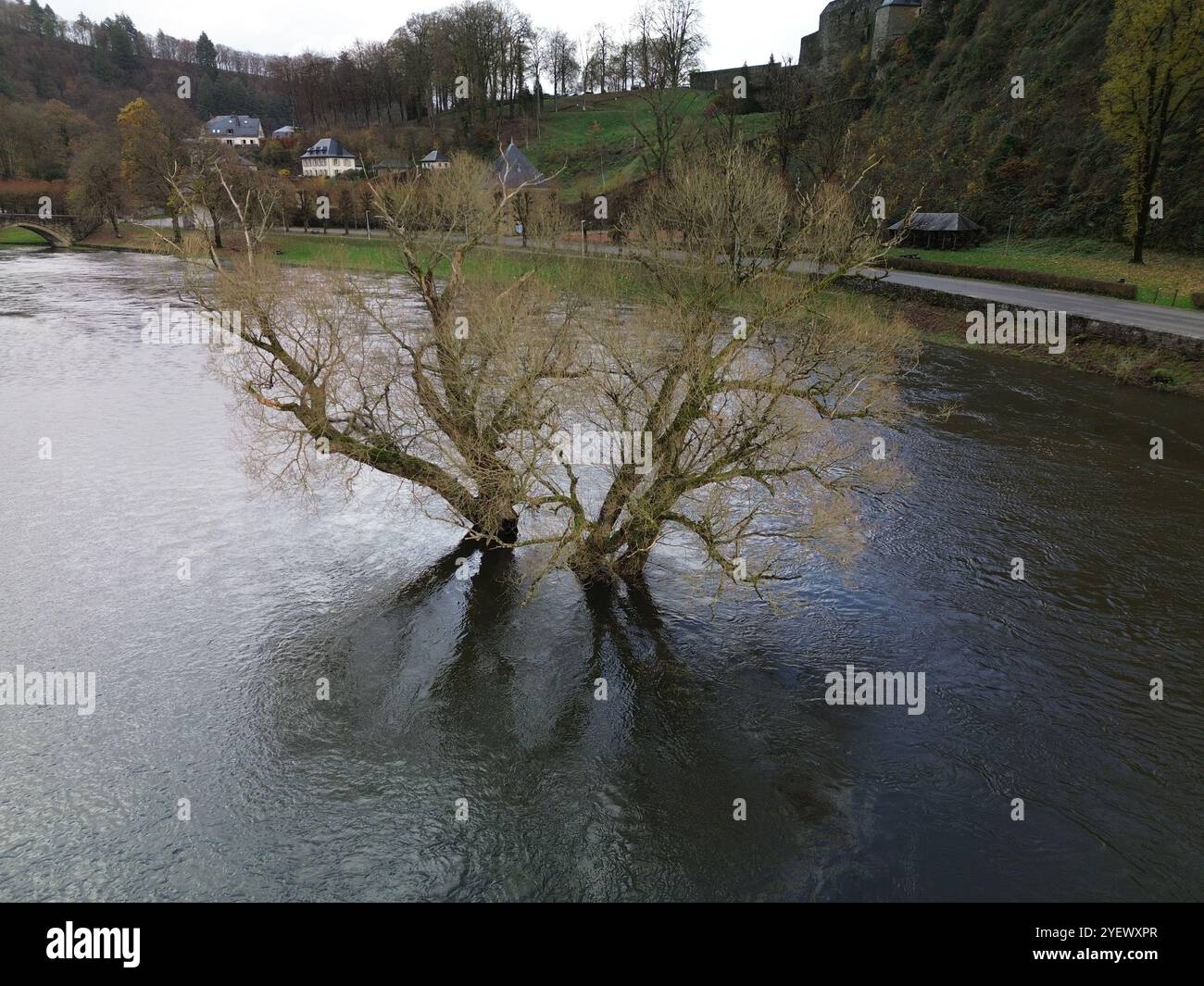 Arbre innondé dans une rivière Banque D'Images