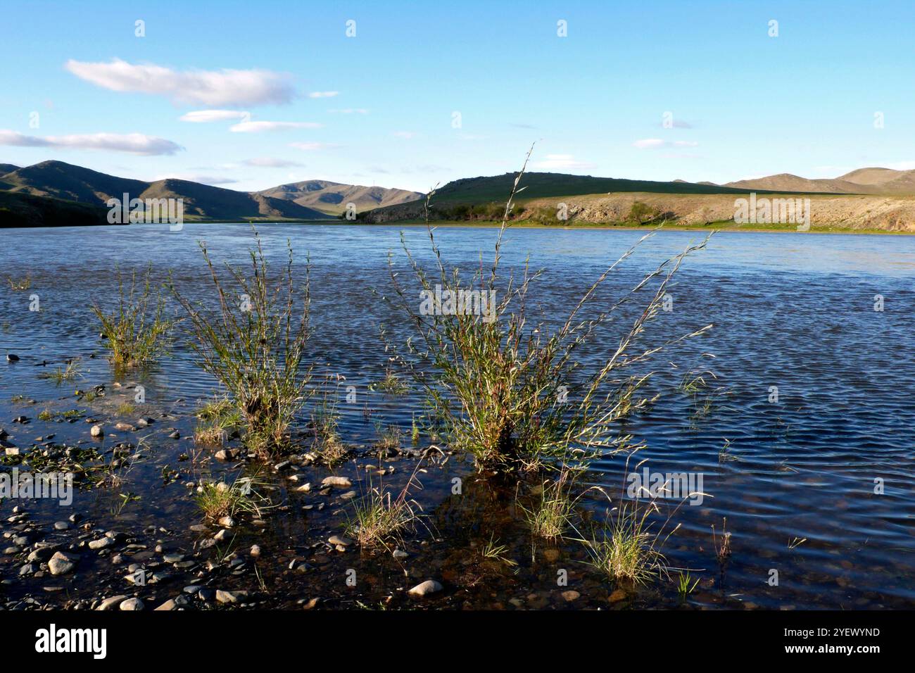 River. Gun Galuut. Mongolie Banque D'Images