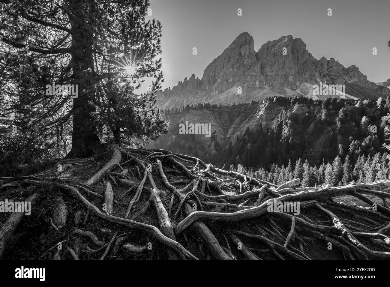 Peitlerkofel, Dolomiti près de San Martin de Tor, Tyrol du Sud, Italie Banque D'Images