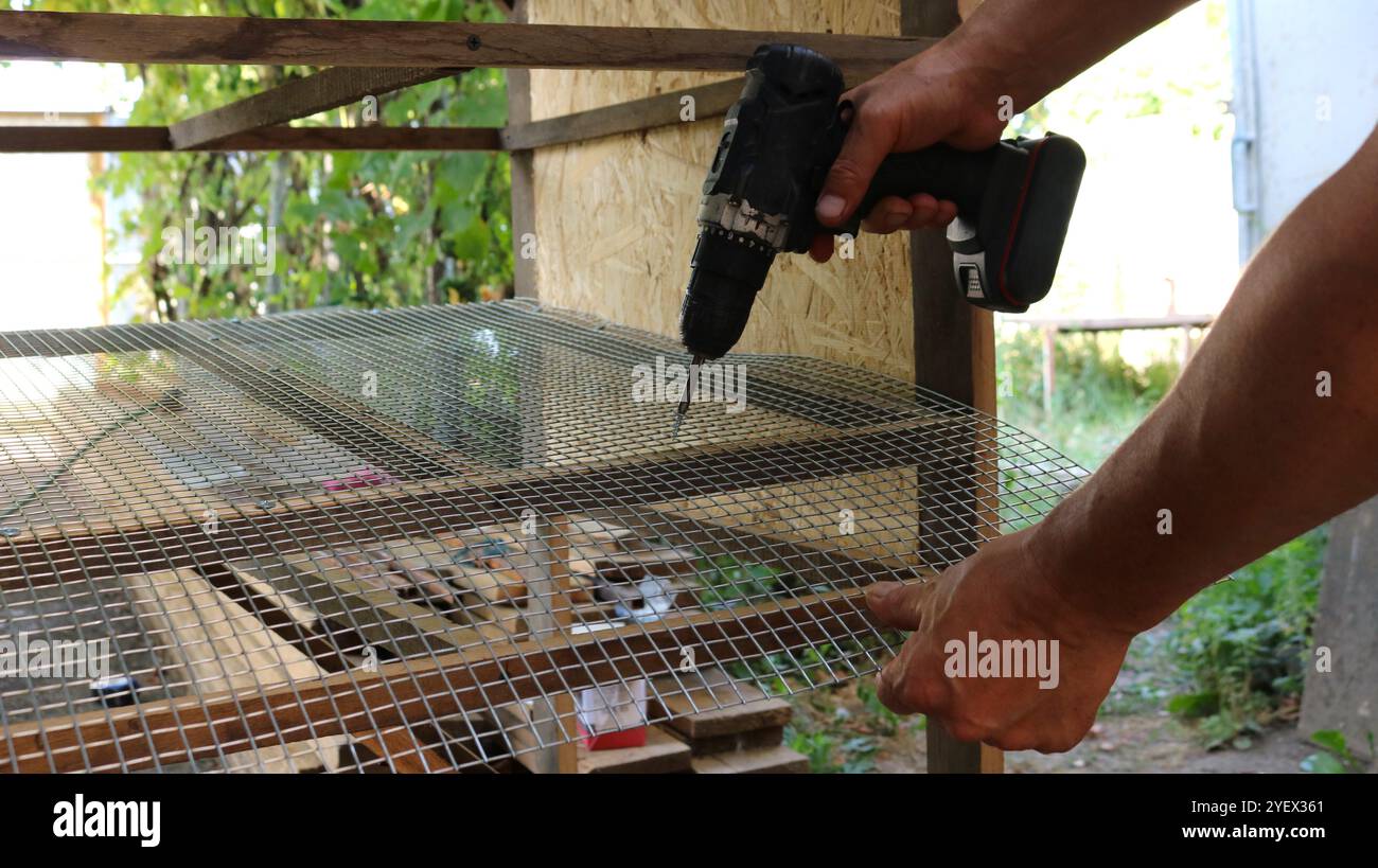 main avec des vis de tournevis noires se vissent dans la structure de la petite cage de volaille en bois et maille métallique, assemblage et fixation des parties de la cage Banque D'Images