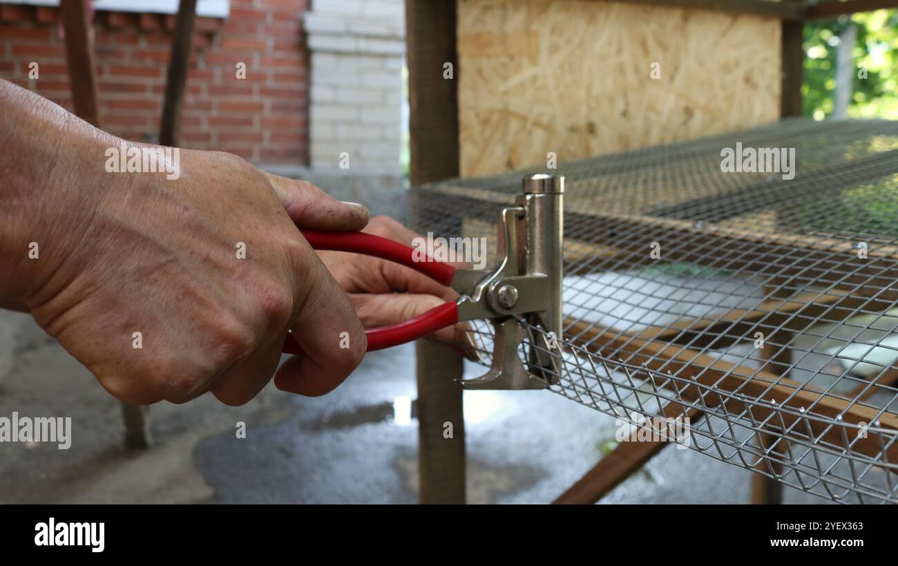 mains mâles tenant une pince de construction à poignée rouge et un treillis métallique de serrage pour faire un bord de la base d'une cage de caille, en travaillant avec une pince Banque D'Images