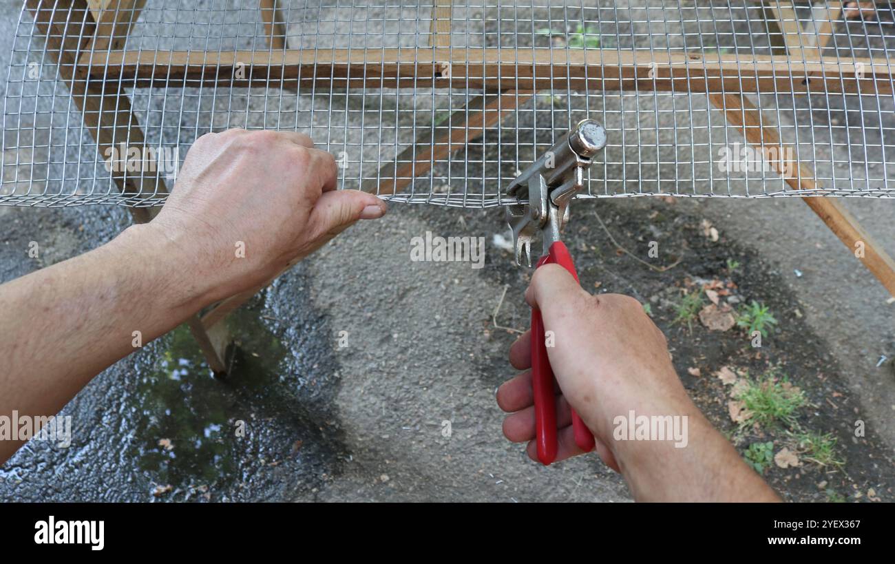 mains d'un ouvrier fabriquant une cage à oiseaux avec un outil à main, fabriquant un plateau à oeufs à partir d'une grille métallique au fond d'une cage de caille domestique, pliant le bord Banque D'Images